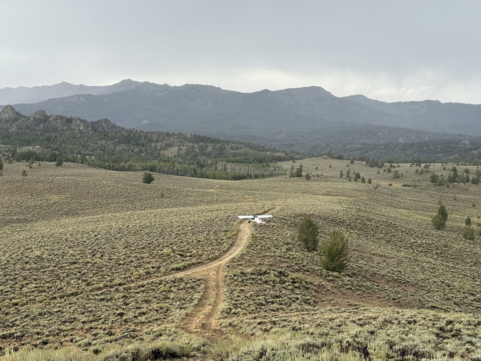 Brandon Corn gallery photo 4