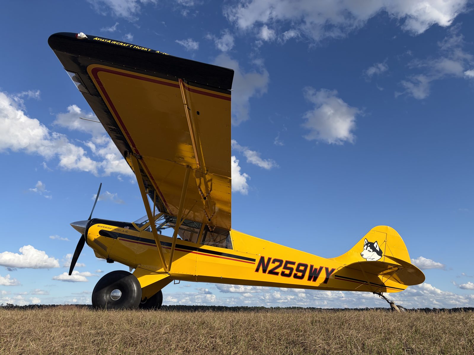 Phil Shearer gallery photo 1