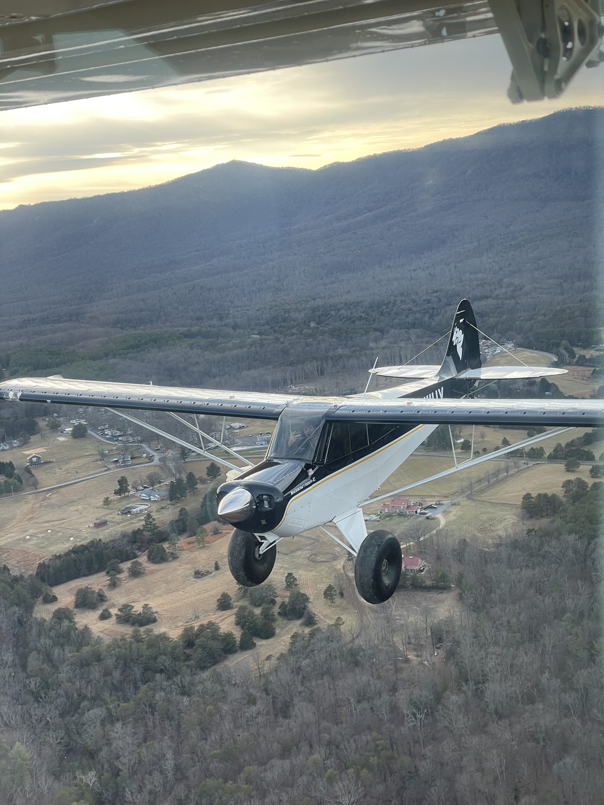 Brad Crawford gallery photo 6