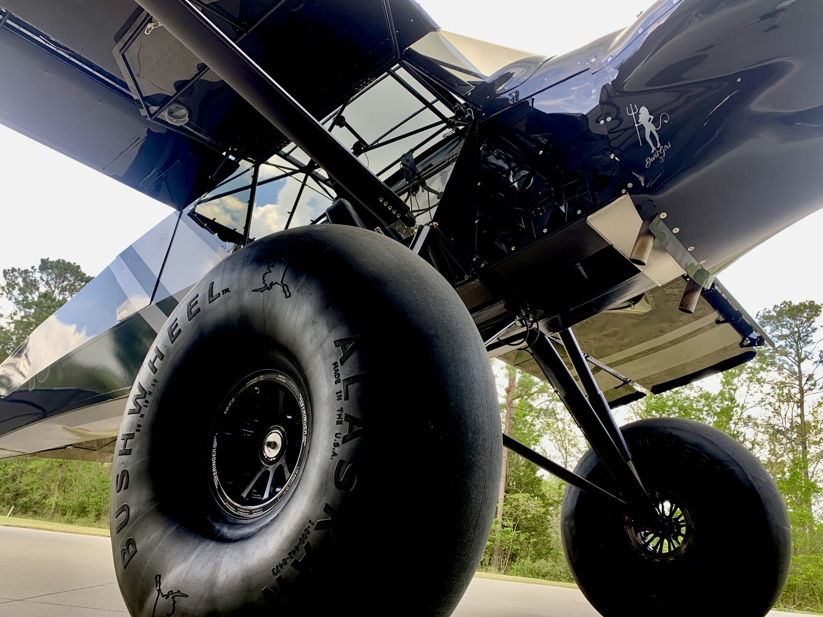 Eddie Sanches gallery photo 2