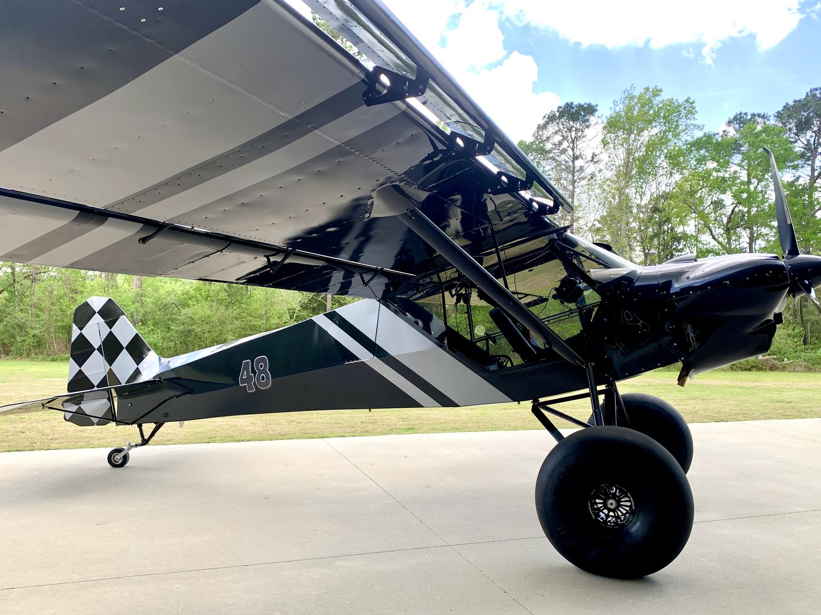 Eddie Sanches gallery photo 1